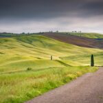 A landscape shot of green hills in val d'orcia tuscany italy in a gloomy sky in the background